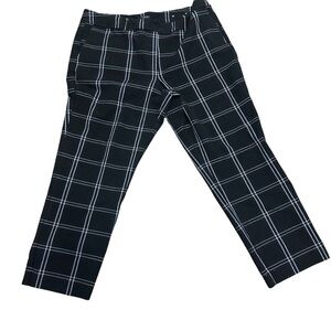 Ann Taylor factory dress pants size 16